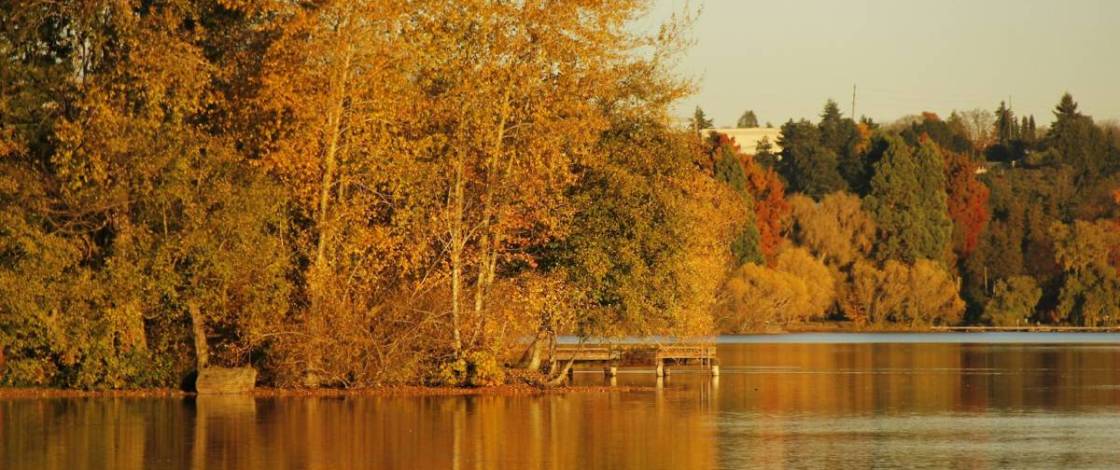 Las 30 mejores cosas que hacer en Seattle este fin de semana: del 22 al 25 de octubre