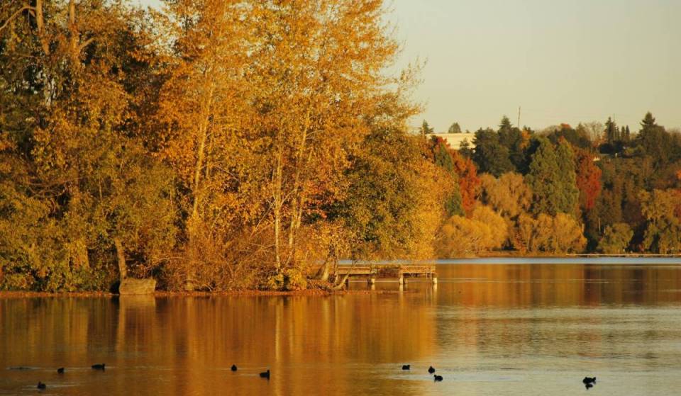 The top 30 things to do in Seattle this weekend: October 22-25