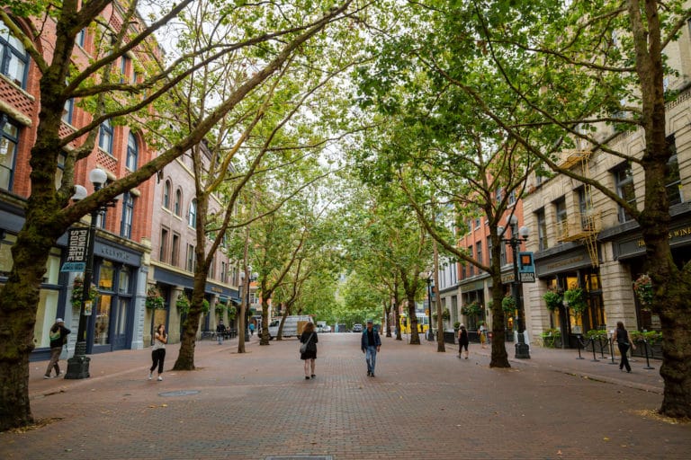 The 35 Best Things To Do In Seattle This September As Summer Turns To Fall