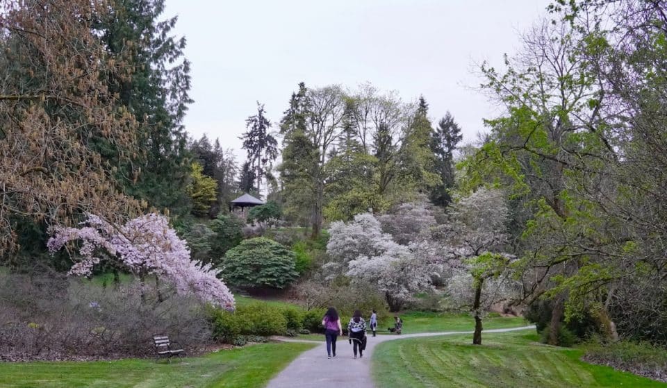 From Plant Sales To A Free Festival, Here Are Seattle’s Best Earth Day Events This April