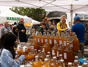 Eat And Shop At These Upcoming Seattle Weekend Markets: October 30-November 2