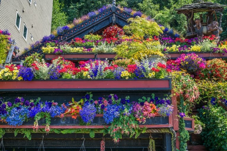 What To Do In Seattle This Spring: Your Seattle Spring Bucket List