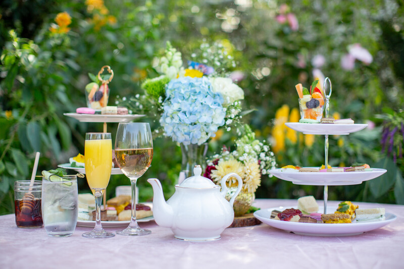 afternoon tea at the zoo in seattle