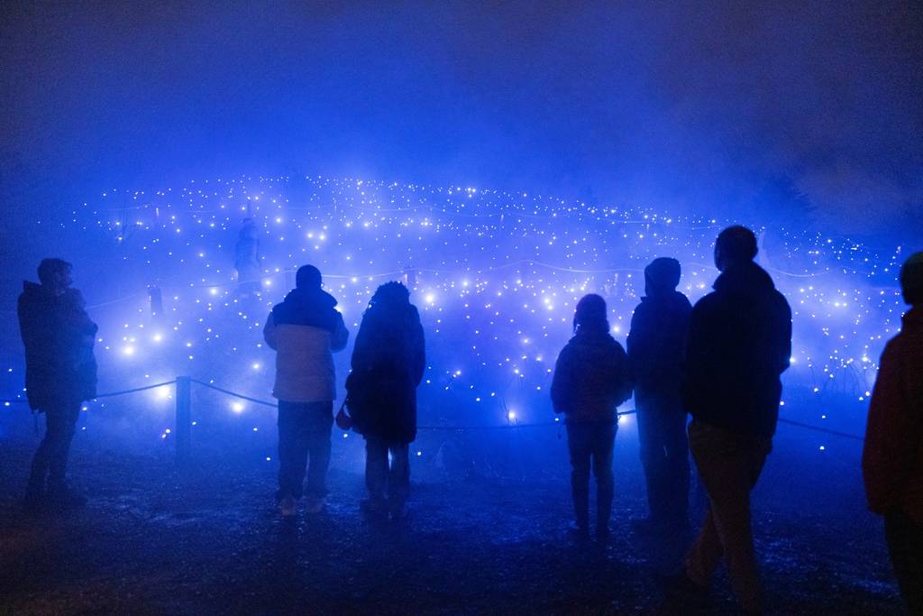 Guests marvel at light displays