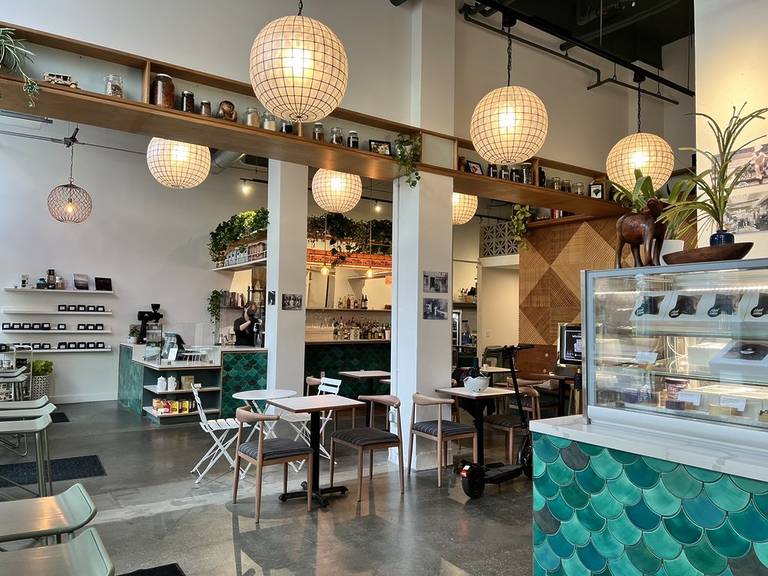THE TOP 10 MOST INSTAGRAMMABLE CAFES IN SEATTLE THAT visual data 2