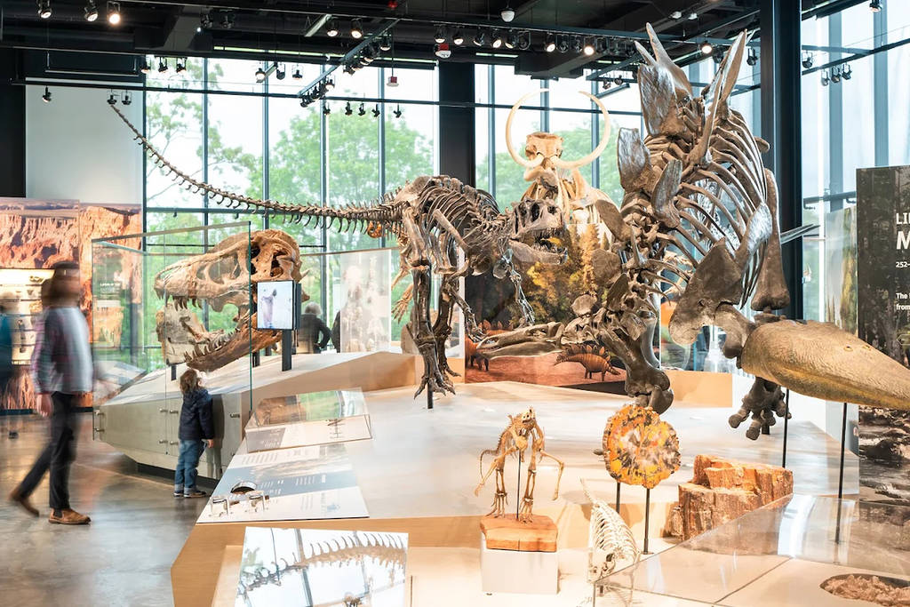 Museo Burke en Seattle