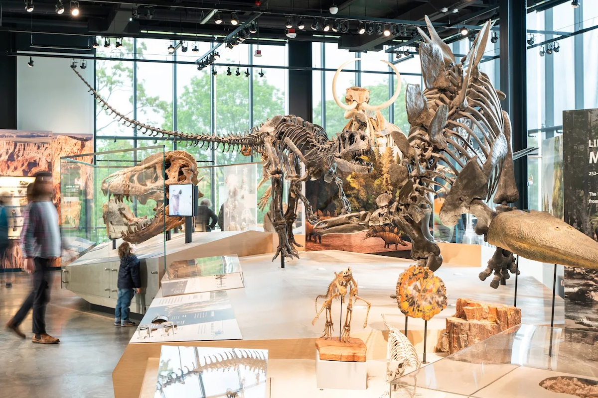 burke museum in seattle