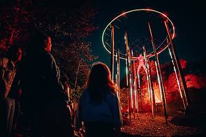 Guests navigate the spooky grounds at Forest of Shadows