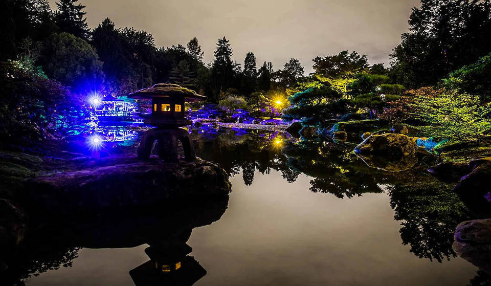 El Jardín Japonés de Seattle se ilumina esta semana para la experiencia anual de contemplar la luna