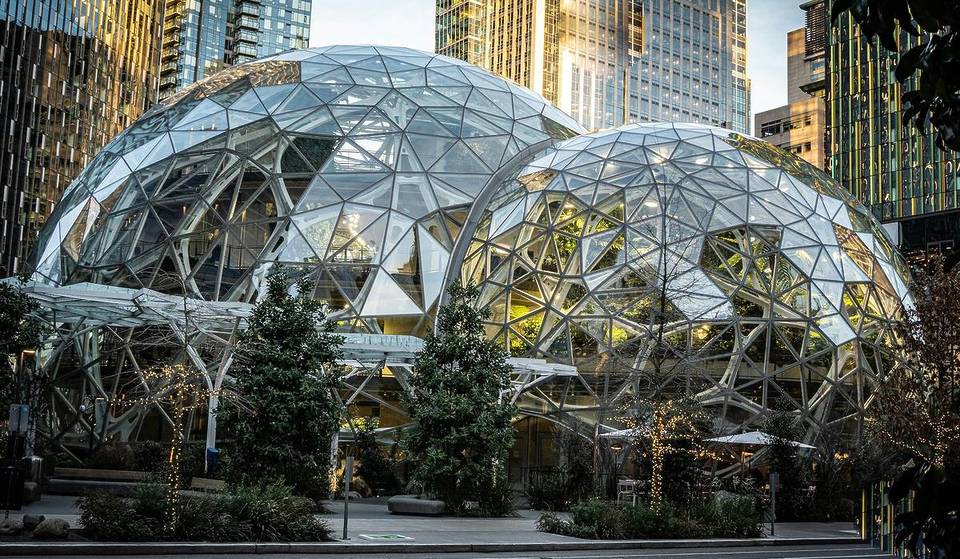 Don&#8217;t Miss Your Chance To Smell The Corpse Flower Blooming At The Amazon Spheres In Seattle