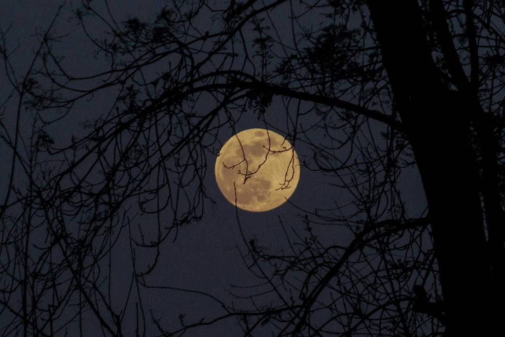 october harvest supermoon seattle