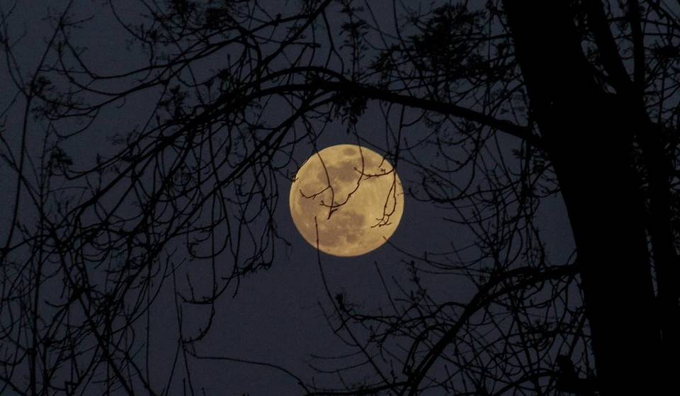 Este es el mejor momento para ver la Superluna de Cosecha que saldrá esta noche sobre Seattle