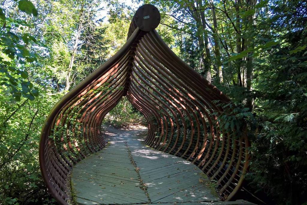 puente de espinas de salmón en seattle