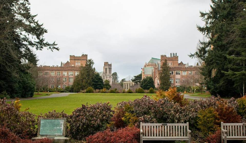 Seattle Was Named One Of The Top 10 Large College Towns In The U.S.