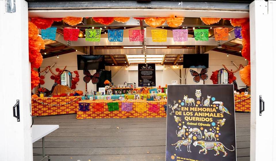 Seattle’s Woodland Park Zoo Honors Beloved Animals for Día de Muertos — Here’s How to Add Your Pet’s Photo