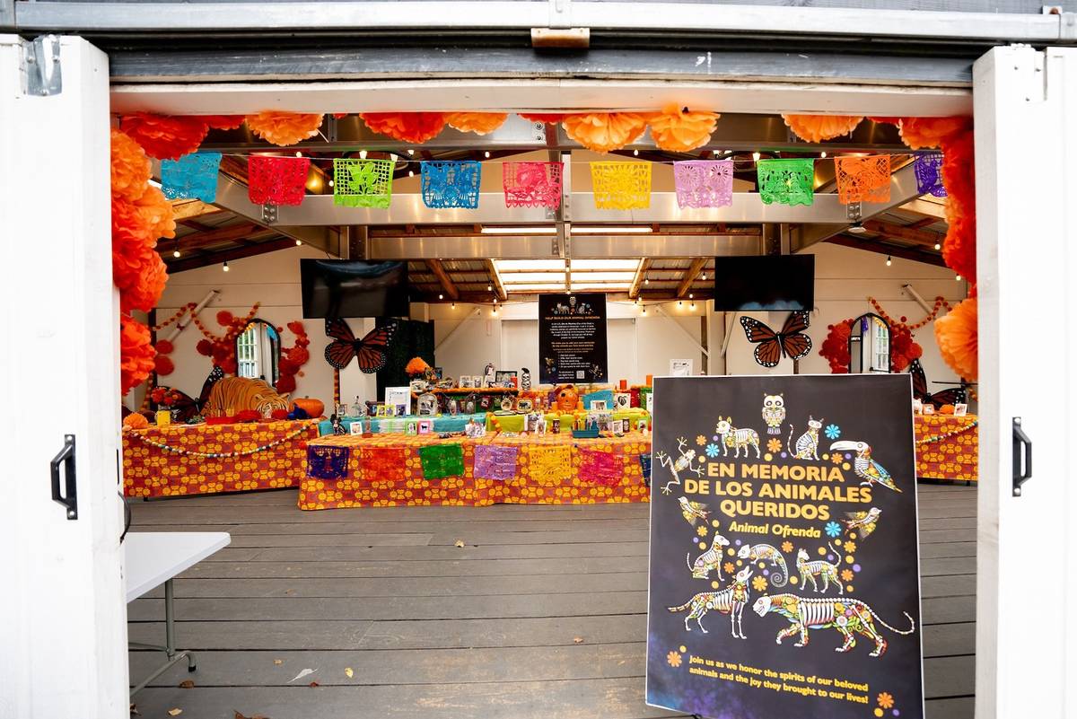 Woodland Park Zoo animal ofrenda