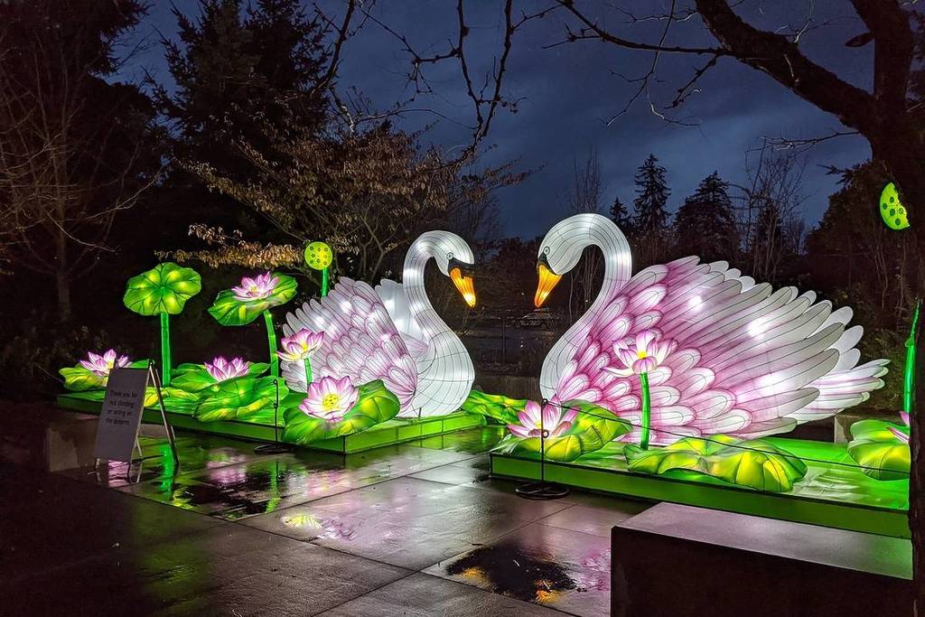 Wildlanterns en el zoo Woodland Park de Seattle