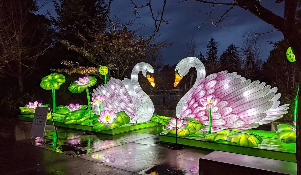 WildLanterns Returns This Winter With New And Bigger Displays At Seattle&#8217;s Woodland Park Zoo