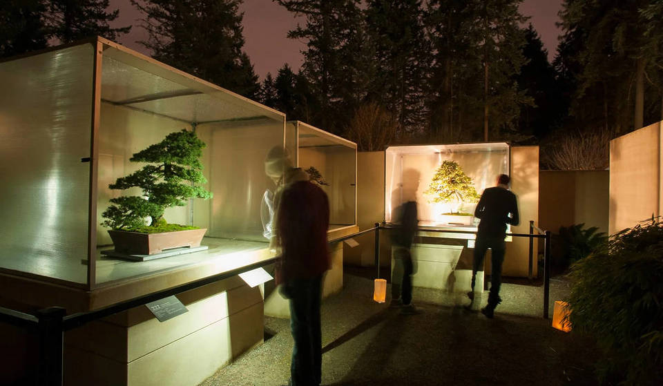 See Bonsai Trees Lit Up After Dark And Shop A Holiday Market At This Free Solstice Event Near Seattle This December