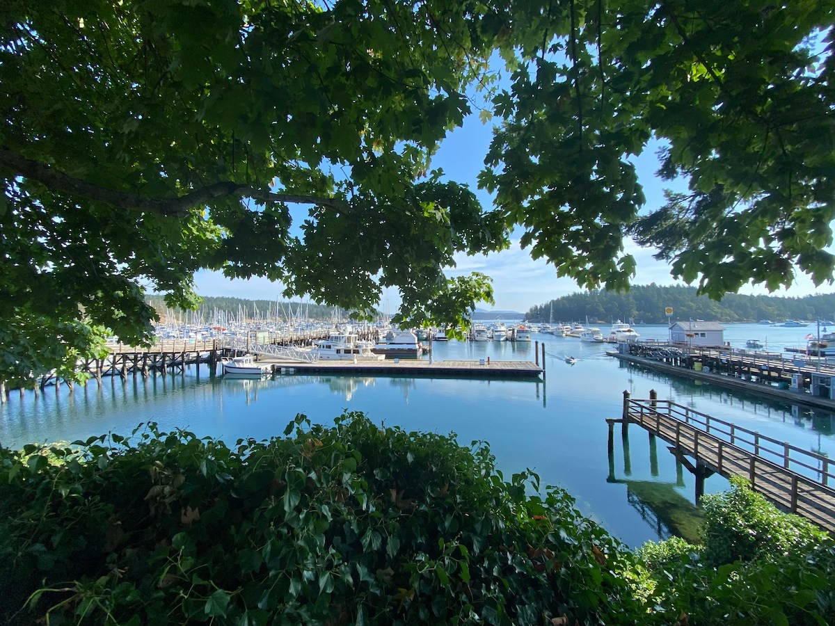 friday harbor