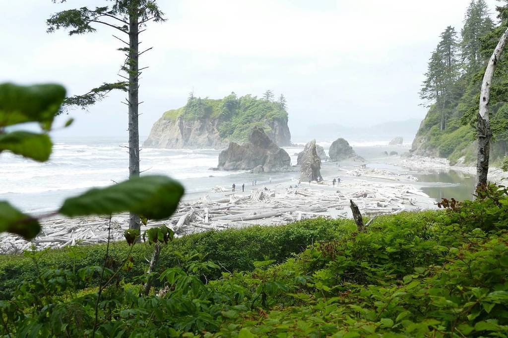 Olympic National Park Near Seattle Ranks Among Top 10 Most Visited National Parks Despite Closures—Here’s Why It’s So Popular