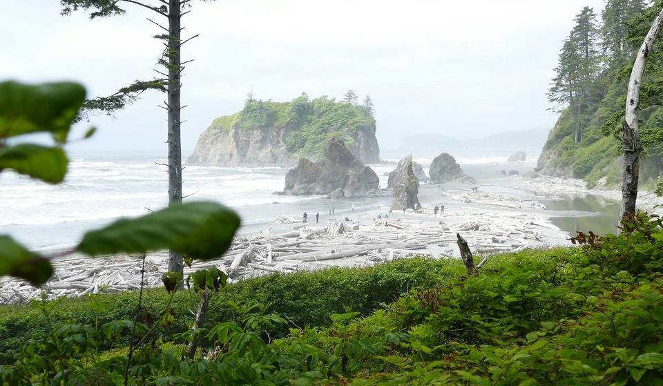 Olympic National Park Near Seattle Ranks Among Top 10 Most Visited National Parks Despite Closures—Here’s Why It’s So Popular