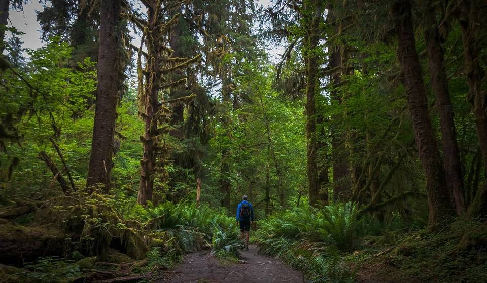 Washington Is One Of The Top 10 Healthiest States In The Country—Here’s Why