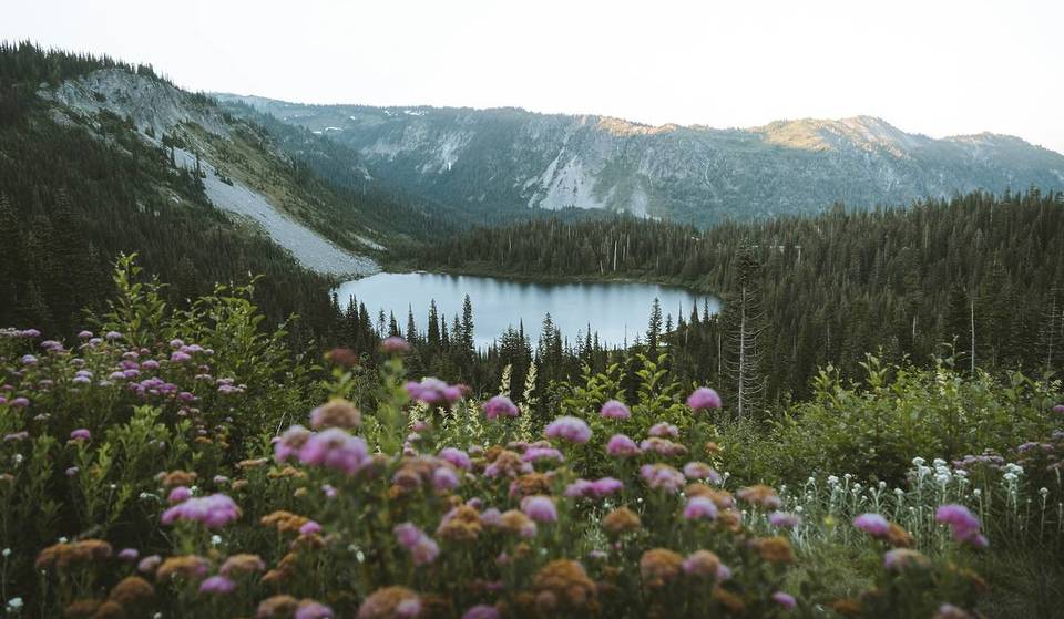 This Park In Washington Was Just Named One Of The Most Beautiful National Parks In The U.S.