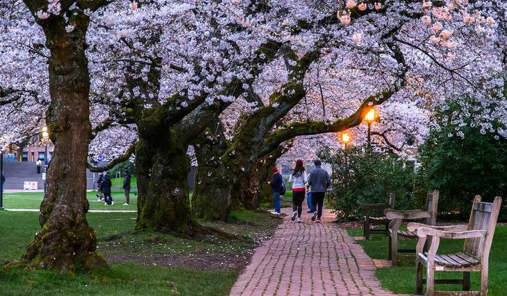 The Top 10 Amazing Things To Do In Seattle This April