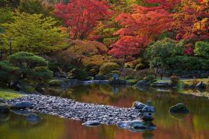 16 Seattle museums and attractions offering free admission in November 2026, from the Seattle Japanese Garden to free rowboat rentals
