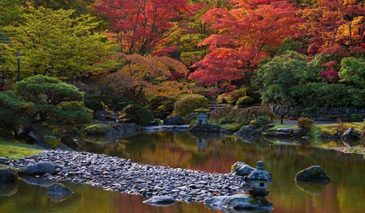 16 Seattle museums and attractions offering free admission in November 2026, from the Seattle Japanese Garden to free rowboat rentals
