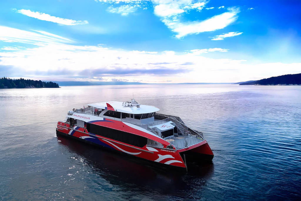 All Aboard The Emerald Clipper: Seattle's Only Downtown Whale