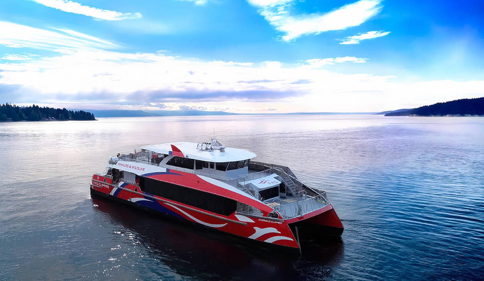All Aboard The Emerald Clipper: Seattle’s Only Downtown Whale-Watching Tour Unveils New, State-Of-The-Art Vessel