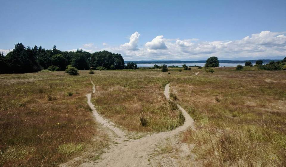 El sistema de parques de la ciudad de Seattle se situó entre los 10 mejores de EE. UU.: te contamos por qué