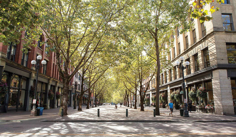 Hot Rat Summer returns to Seattle with a giant new mosaic and events in Pioneer Square