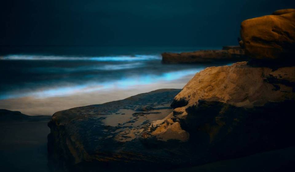 Bioluminescence is lighting up Washington’s coast this summer: Here’s where to see it