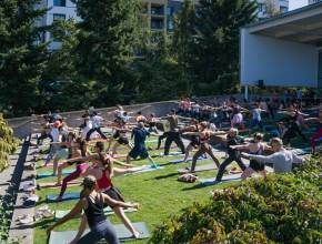 Free concerts, yoga, and art: Summer at SAM is back for 2026