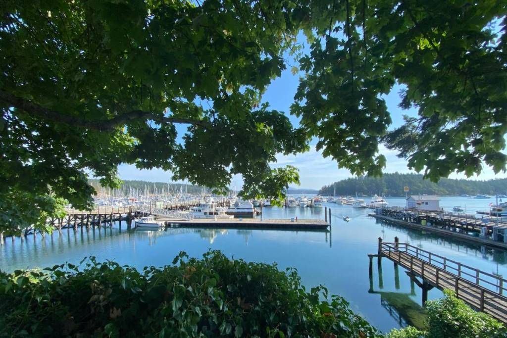 Friday Harbor: «La localidad más bonita de Washington» ofrece encanto, aventura y una rica cultura local a solo tres horas de Seattle