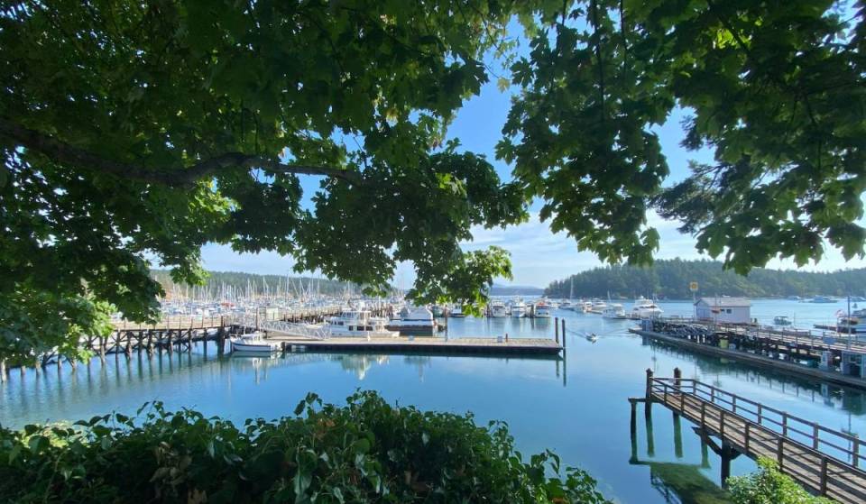 Friday Harbor: “Washington’s prettiest town” offers charm, adventure, and rich local culture just 3 hours from Seattle