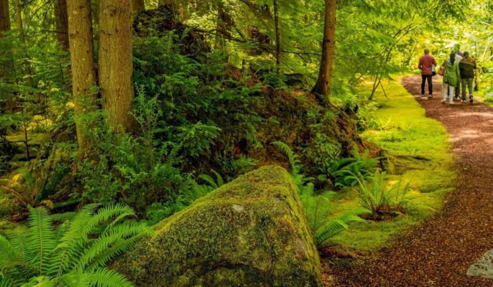 The largest public moss garden in the US is just a short ferry ride from Seattle
