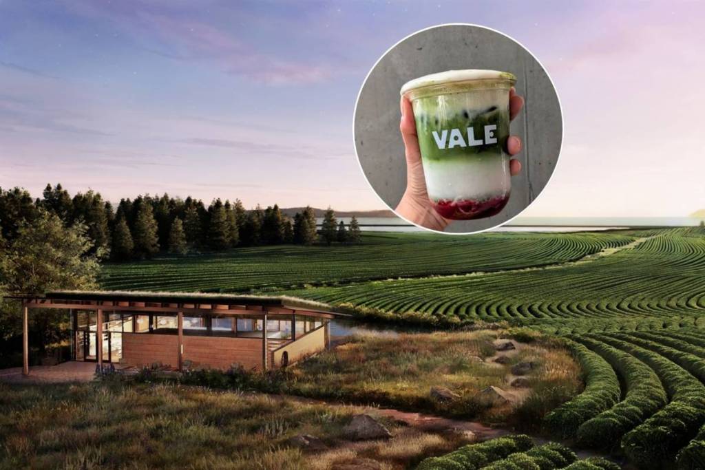 vale matcha