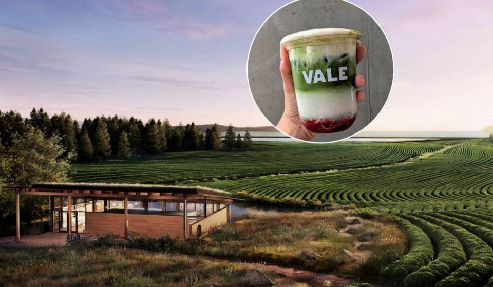 Looking to build the Napa Valley of matcha in the PNW, Seattle’s Vale Matcha just announced a 365-acre tea farm on Whidbey Island—with a tasting room to come