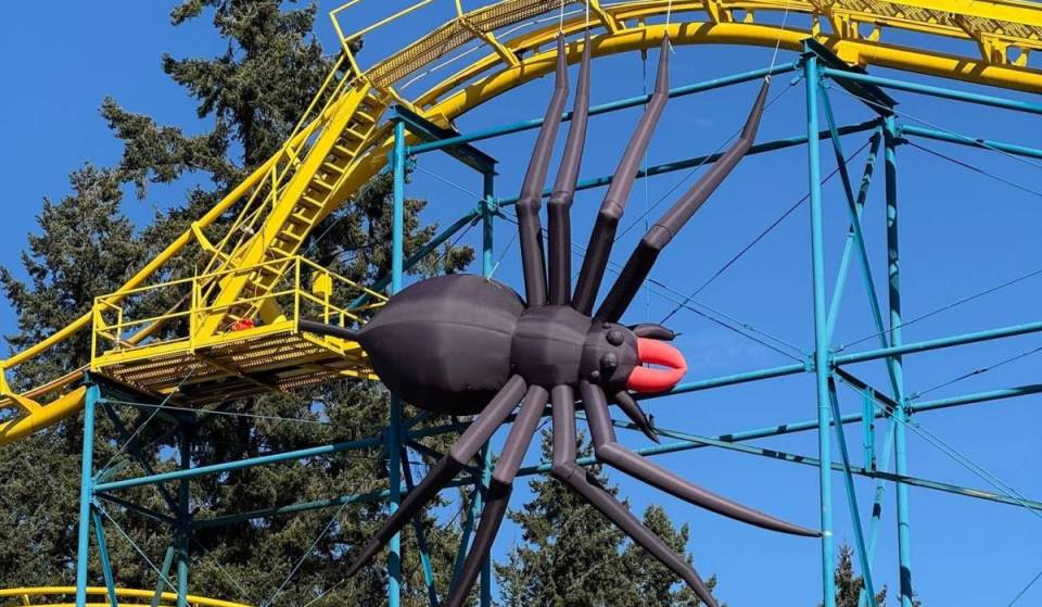 “Final frights before closing for good”: Wild Waves launches its last-ever Fright Fest this fall