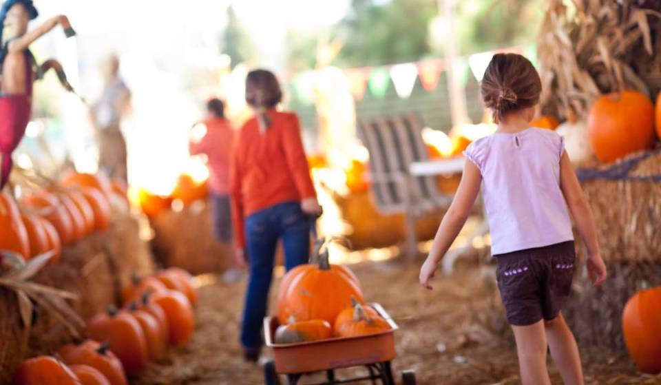 This Snohomish farm’s famous Fall Festival is back this September with 30+ autumnal attractions (and an after-dark haunted corn maze)