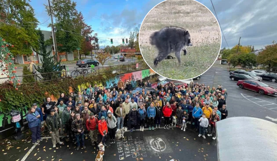Cómo apuntarte a la «Jimothy Jaunt»: esta gran caminata de 10 millas por los barrios de Seattle vuelve el 11 de octubre para pasar por los mercados de agricultores de Fremont y Ballard