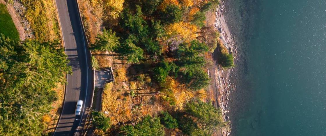 «El Big Sur de Washington»: Chuckanut Drive ofrece unas vistas costeras impresionantes con el follaje otoñal a menos de dos horas de Seattle