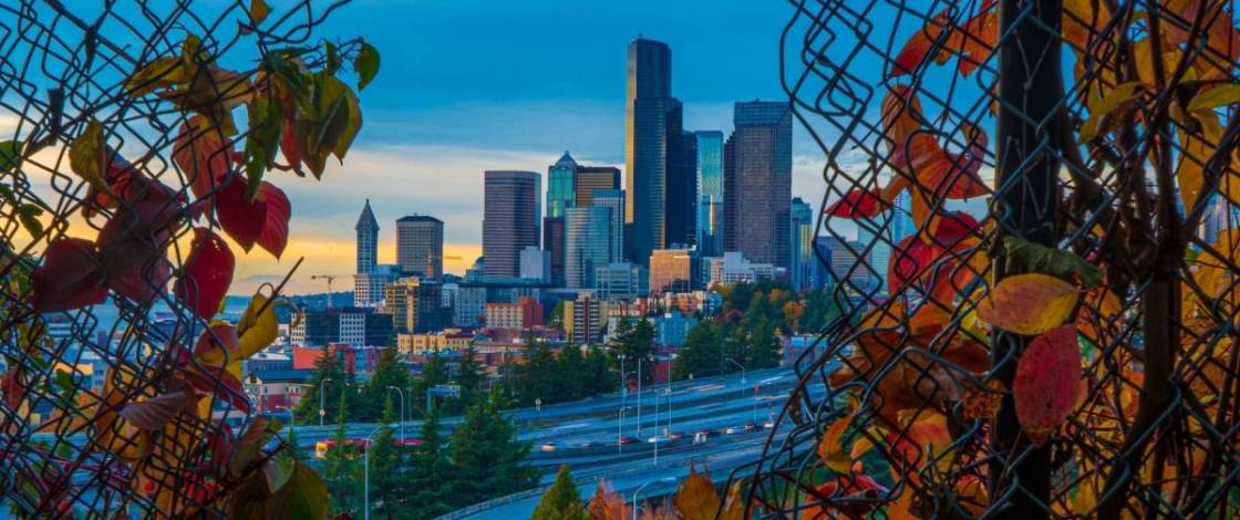 Las 23 mejores cosas que hacer en Seattle este Halloween de 2026, desde eventos gratuitos para niños hasta lugares realmente terroríficos