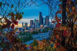The top 24 things to do in Seattle this Halloween 2026, from free kid-friendly events to seriously scary haunts