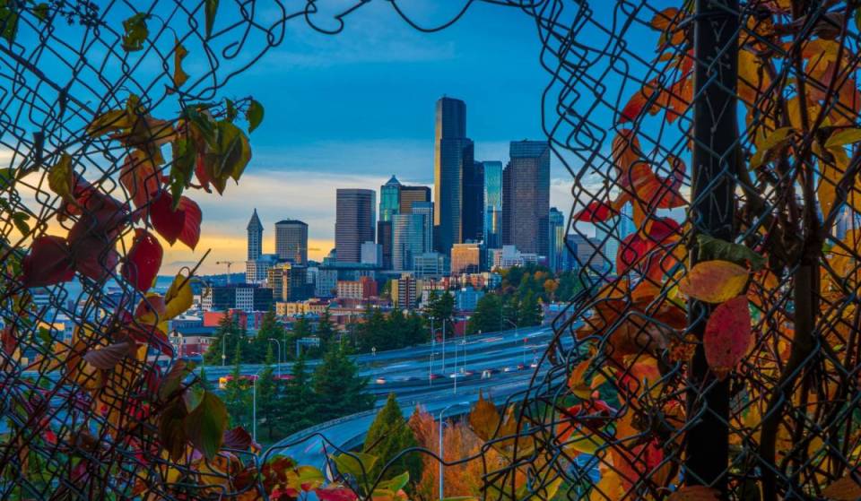 The top 23 things to do in Seattle this Halloween 2026, from free kid-friendly events to seriously scary haunts
