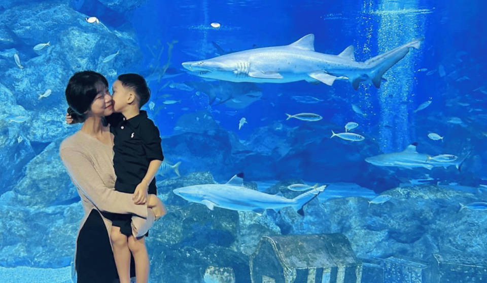 수족관이라고만 부르기엔 너무나 큰 세계 &#8211; 코엑스 아쿠아리움